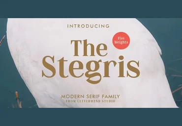 Myfonts The Stegris Font 2021 скачать слив
