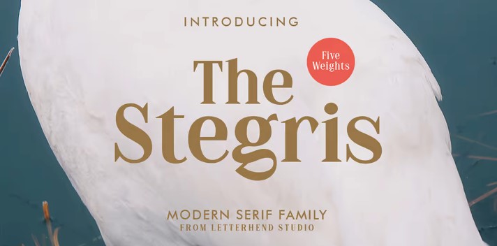 Myfonts The Stegris Font 2021 слив курса