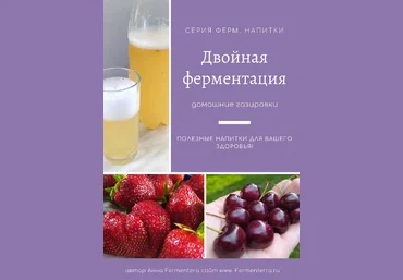 Анна Fermenterra Fermenterra Двойная ферментация, домашние газировки 2023 слив