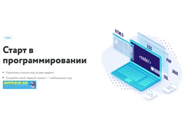 Нетология Старт в программировании 2019 слив