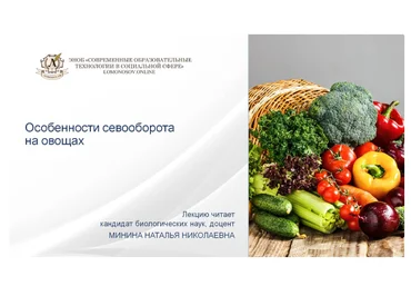 Наталья Минина Особенности севооборота на овощах 2024 слив