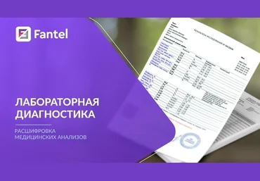 Антон Поляков Эксклюзивный флагманский курс: Расшифровка медицинских анализов 2023 слив