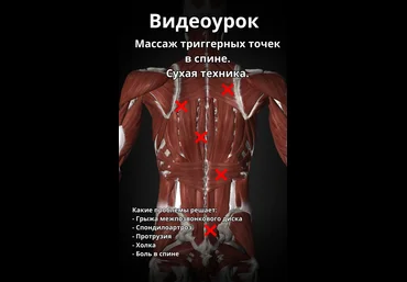 Артем Пак Массаж триггерных точек в спине 2024 слив