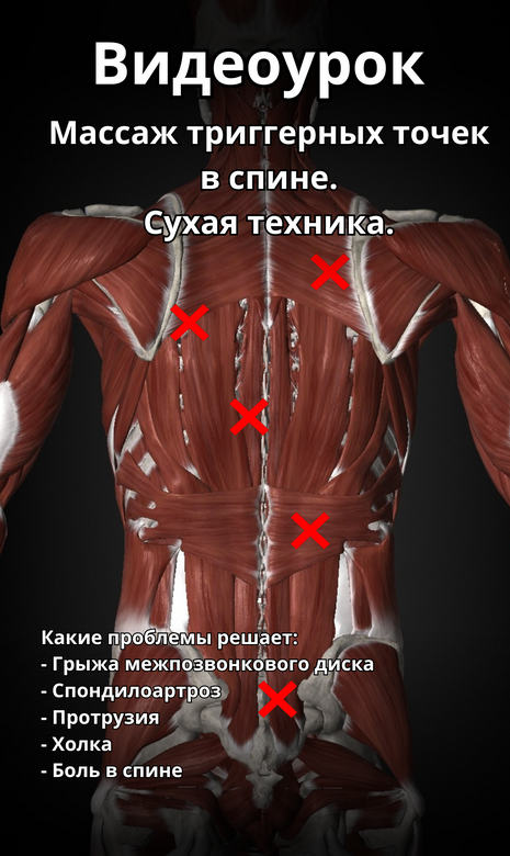 Артем Пак Массаж триггерных точек в спине 2024 слив курса