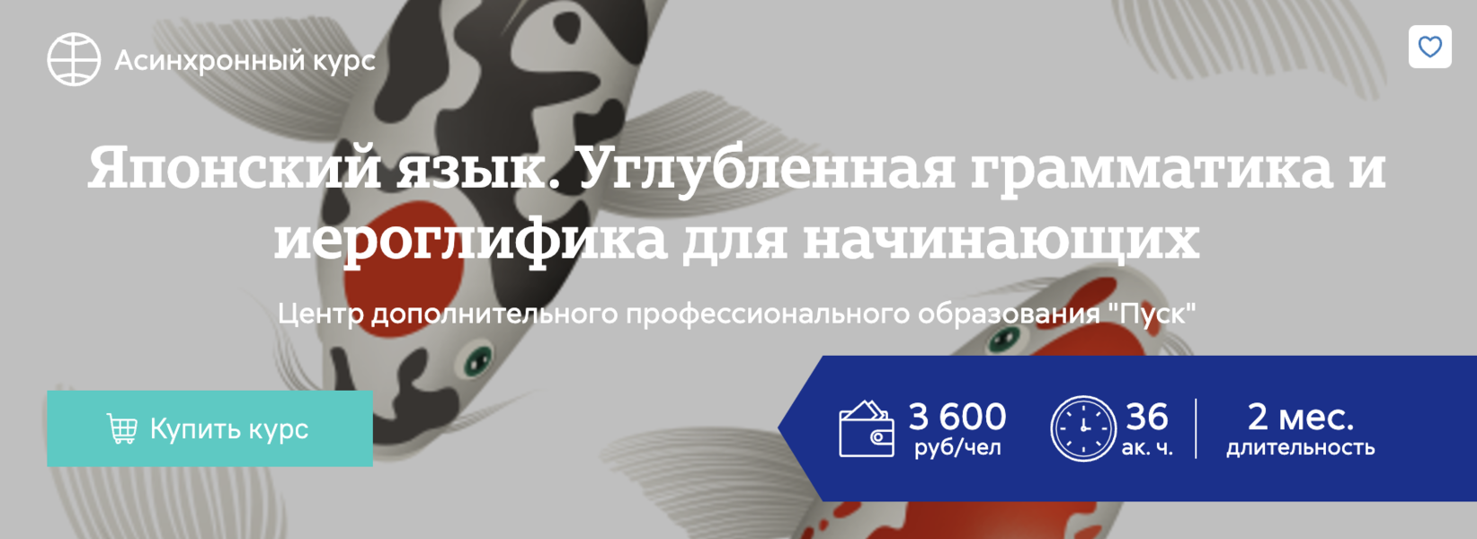 Анастасия Степанова Японский язык. Углубленная грамматика и иероглифика для начинающих 2024 слив курса