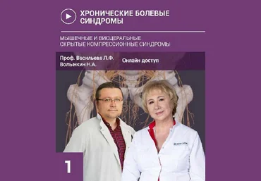 Л. Васильева, Н. Волынкин Хронические болевые синдромы. Мышечные и висцеральные 2024 слив