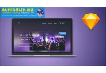 Udemy Даниил Жосуль - Pro Ux Design 2019 слив