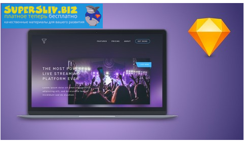 Udemy Даниил Жосуль - Pro Ux Design 2019 слив курса