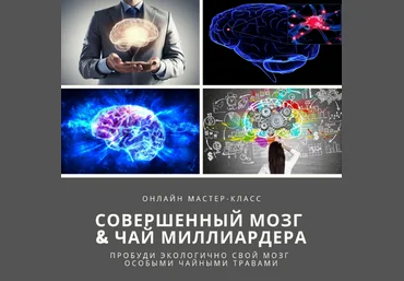 Юрий Курский Мудрость трав Академия фитонутрициологии Совершенный мозг & Чай миллиардера 2023 слив