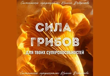 Ирина Выборнова grunichka.nutrition Сила грибов для твоих суперспособностей 2024 скачать слив