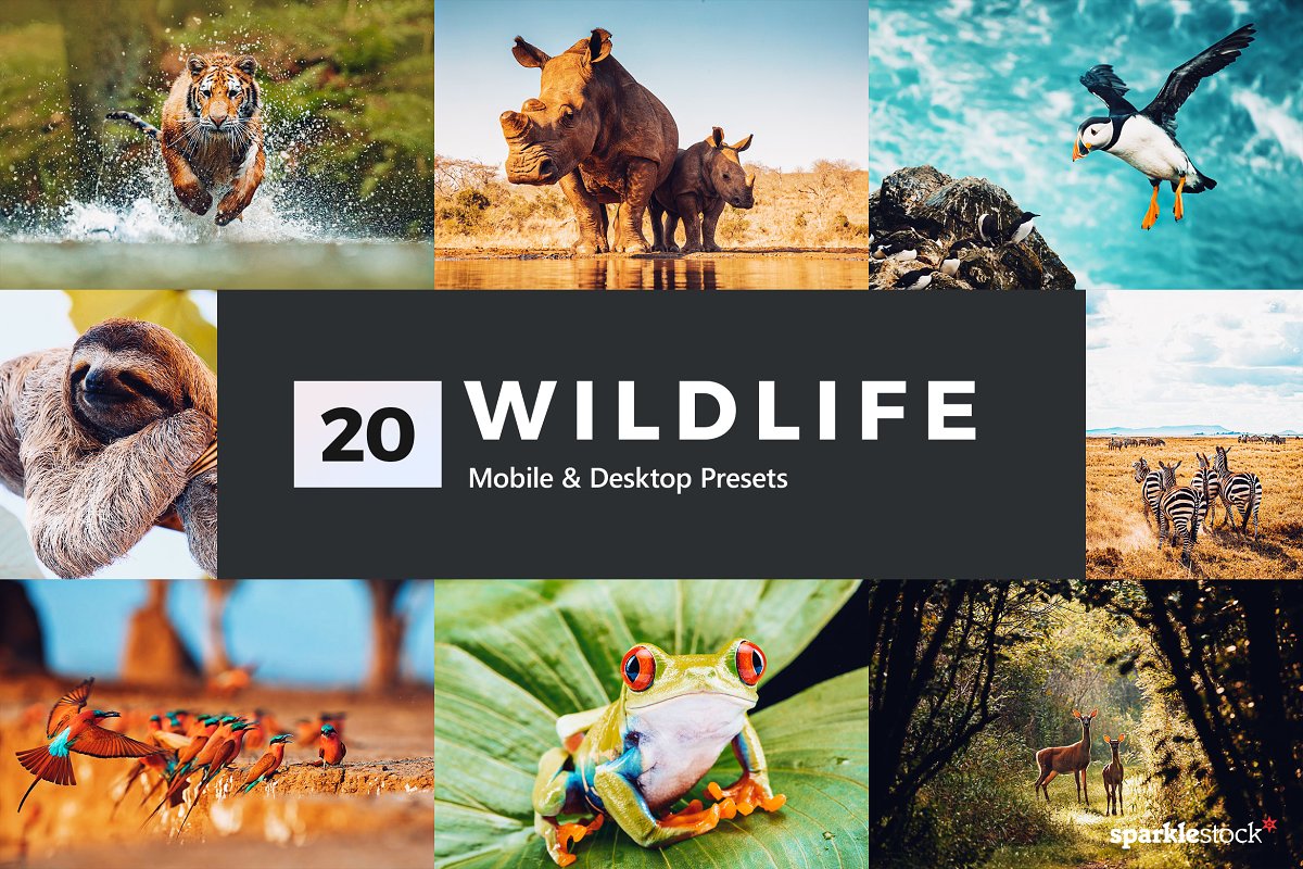 Creativemarket 20 Wildlife Lightroom Presets & LUTs 2020 слив курса