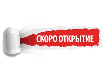 Lynda.com Успешный проект за 12 шагов! слив