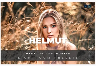 Elements.Envato Helmut Desktop and Mobile Lightroom Preset 2021 слив