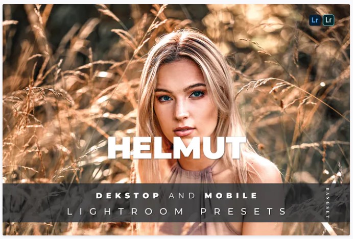 Elements.Envato Helmut Desktop and Mobile Lightroom Preset 2021 слив курса