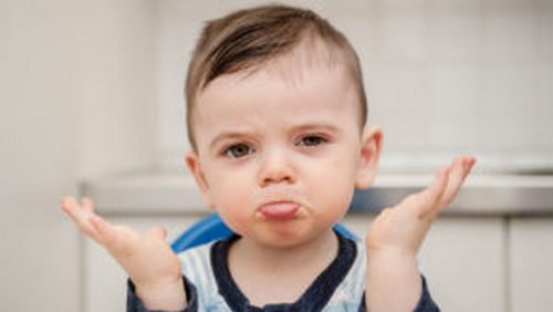 Анна Новик Развитие речи у детей 1-3 лет 2019 слив курса