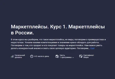Анастасия Эджингтон Stepik Маркетплейсы. Курс 1. Маркетплейсы в России 2023 слив