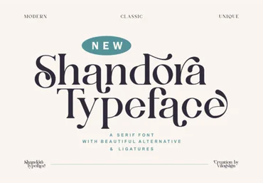 Creativefabrica Shandora Font 2021 слив