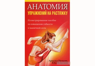 Арнольд Нельсон Анатомия упражнений на растяжку слив