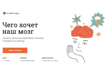 Вячеслав Дубынин Чего хочет наш мозг 2021 слив