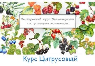 Ирина Таро Большой Цитрусовый курс 2023 слив