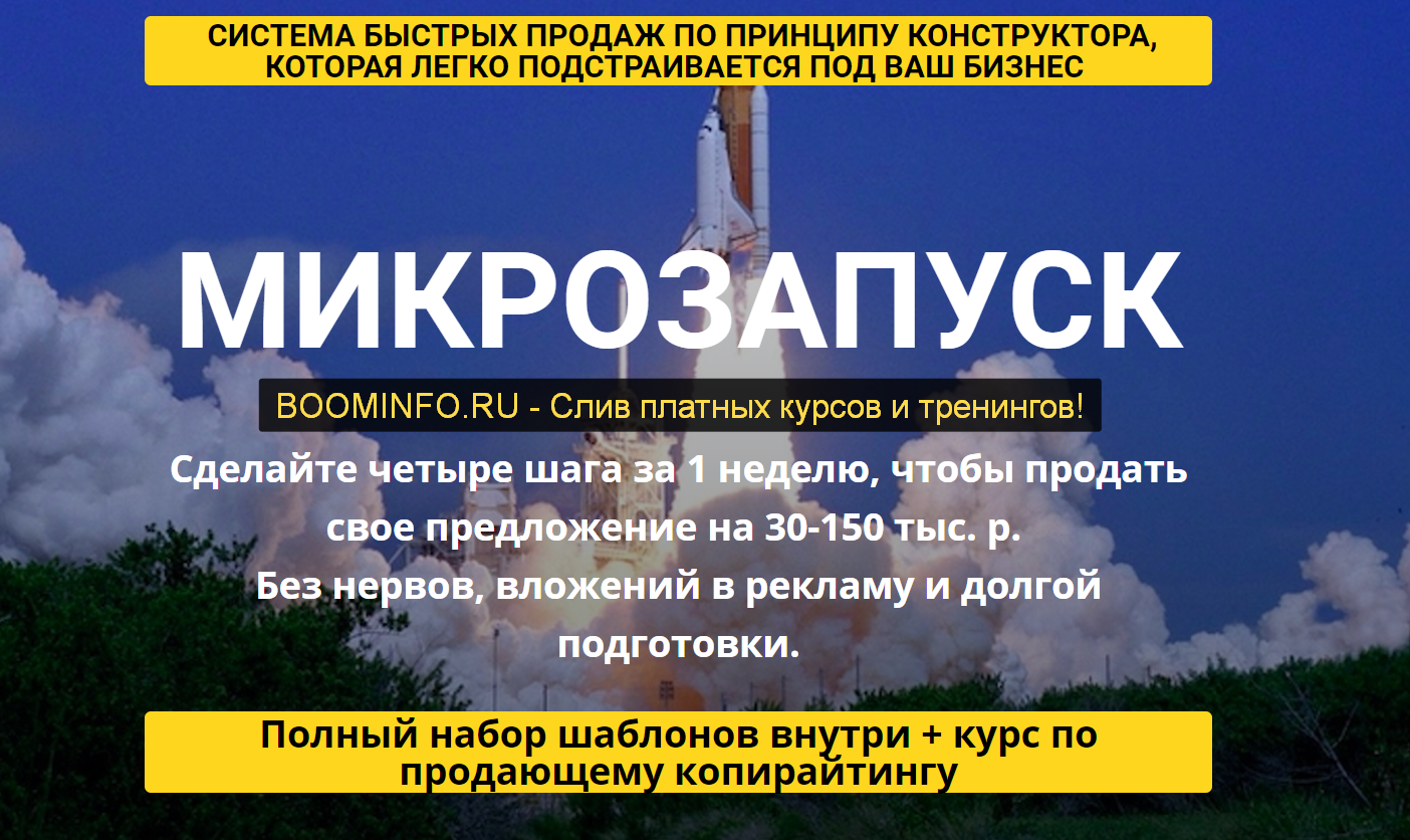 Таша Лео Микрозапуск - система быстрых продаж 2019 слив курса