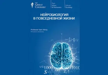 Нейробиология в повседневной жизни. Часть 4 - Вонг С. 2016 слив