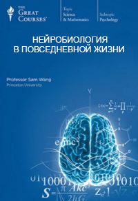 Нейробиология в повседневной жизни. Часть 4 - Вонг С. 2016 слив курса