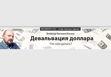 Евгений Коган Девальвация доллара: что нам делать? 2019 слив