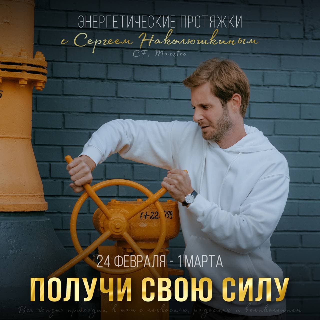 Access Сергей Наколюшкин Энергетические протяжки «Получить свою силу» 2021 слив курса