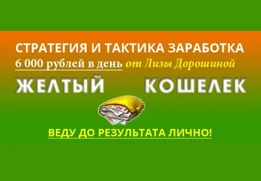 Желтый кошелек. Стратегия и тактика заработка Лизы Дорошиной слив