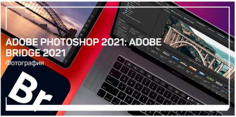 Андрей Журавлев Adobe Photoshop 2021: Adobe Bridge 2021 слив курса