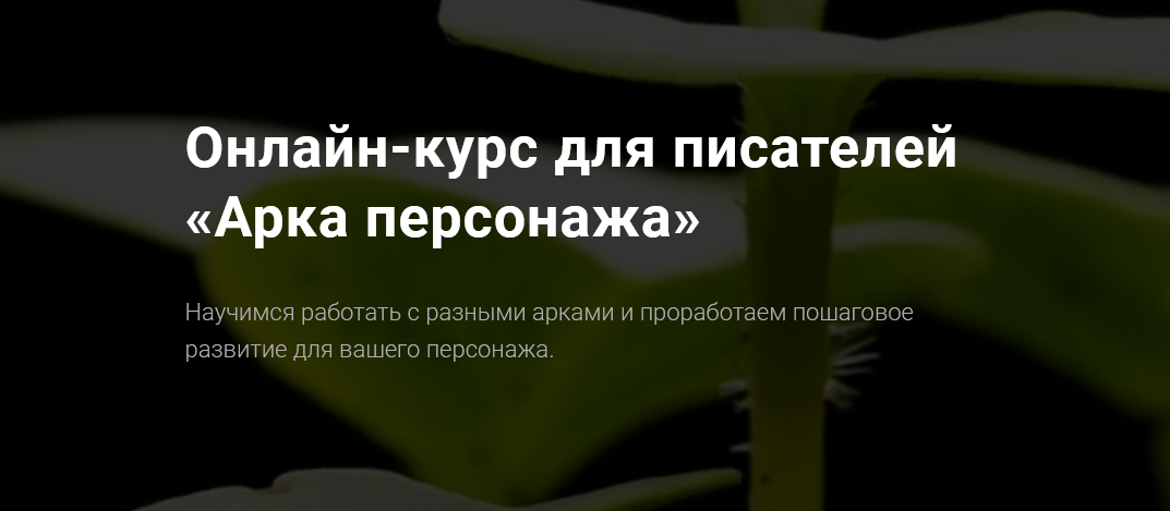 Курсы писательского мастерства Арка персонажа 2022 слив курса