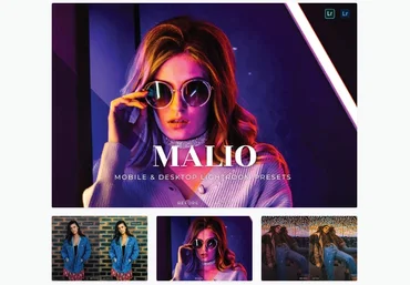 Elements.Envato Malio Mobile and Desktop Lightroom Presets 2021 слив