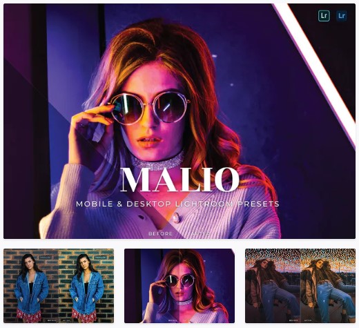 Elements.Envato Malio Mobile and Desktop Lightroom Presets 2021 слив курса