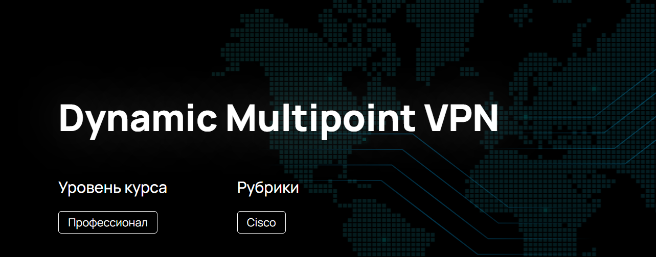 n4e.ru Dynamic Multipoint VPN 2023 слив курса