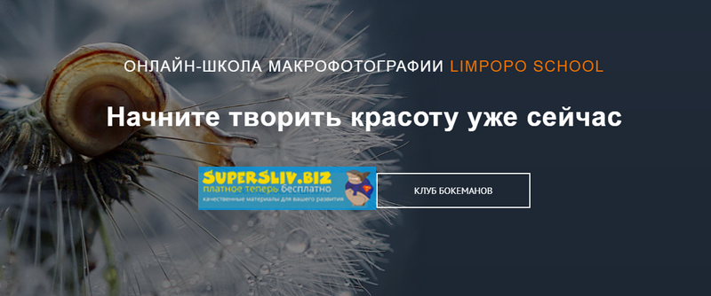 Полина Серова, Арсен Алабердов Курс по макрофотографии 2019 слив курса