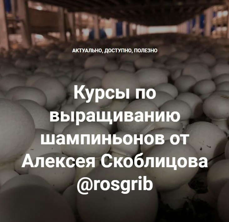Алексей Скоблицов Курсы по выращиванию шампиньонов 2022 слив курса