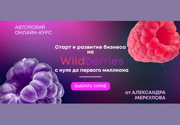 Александр Меркулов Старт и развитие бизнеса на Wildberries с нуля до первого миллиона 2021 слив
