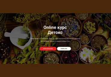Тимофей Кармацкий Online курс «Детокс» 2023 слив