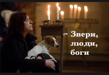 Константин Михайлов Звери, люди, боги 2023 слив