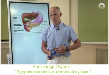 Александр Огулов Академия Огулова Здоровая печень и желчный пузырь 2023 слив