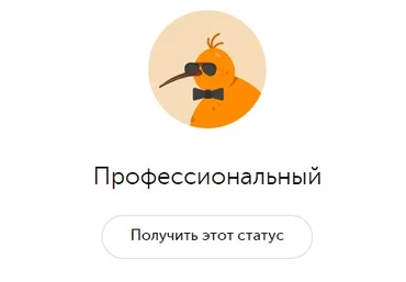 Получаем статус «Профессиональный» на QIWI Кошелек в пару кликов 2021 слив