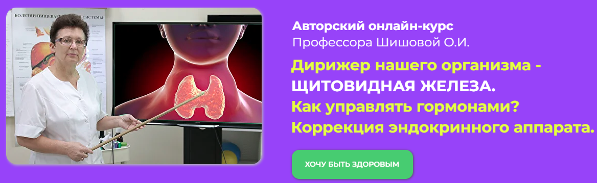 Ольга Шишова Дирижер нашего организма - Щитовидная железа 2022 слив курса