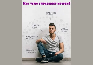 Как тело управляет мозгом? - kleiton 2017 слив