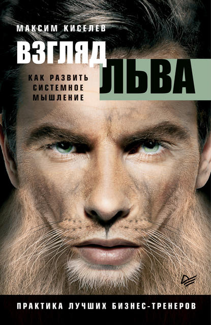 Максим Киселев Взгляд льва. Как развить системное мышление 2018 слив курса