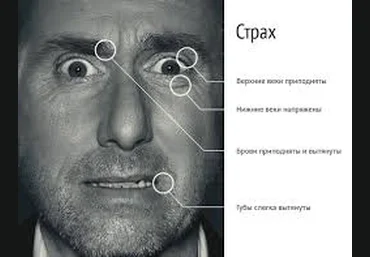 Психология лжи - Смыслов слив