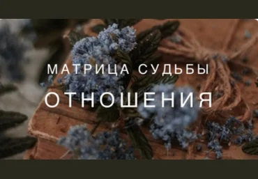 Ксения Ликич Матрица. Отношения 2022 слив