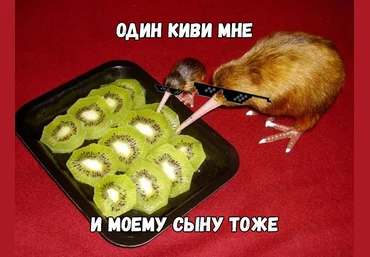 Как разблокировать кошелёк Qiwi? 2021 слив