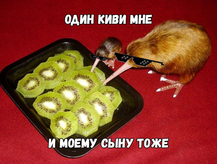 Как разблокировать кошелёк Qiwi? 2021 слив курса