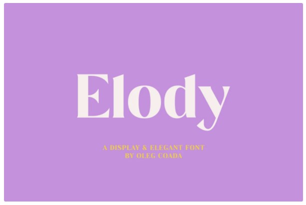 Creativemarket Elody Display and Elegant Font 2021 слив курса